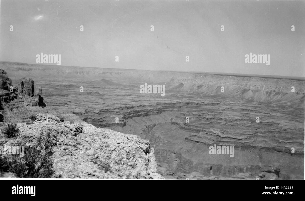 Una vista panoramica di Kanab Point Creek nel Parco Nazionale del Grand Canyon, che mostra la bellezza naturale di questa regione. Il torrente scorre attraverso l'area di Kanab, contribuendo alla diversità ecologica del parco e sostenendo la fauna selvatica locale. Foto Stock