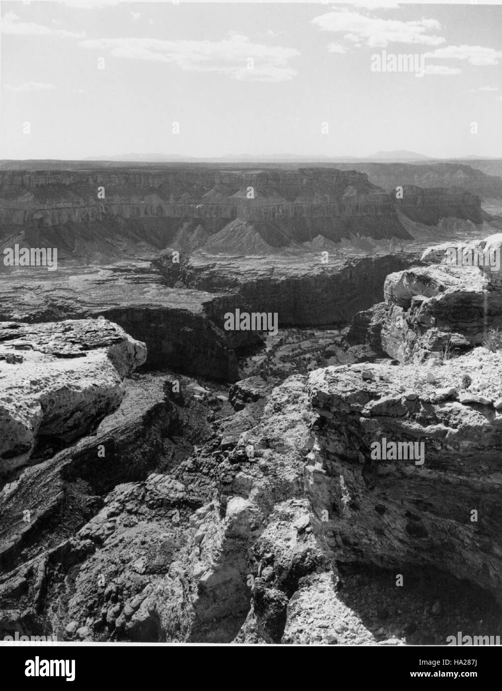 Grand Canyon nps 03389 7945951236 Grand Canyon punto Manakacha Foto Stock