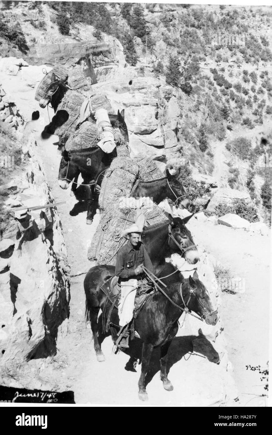 Il Bright Angel Trail del Grand Canyon offre panorami mozzafiato e terreni impegnativi. Essendo uno dei percorsi storici del parco, offre una ricca storia e un accesso vitale per visitatori e ricercatori. Foto Stock