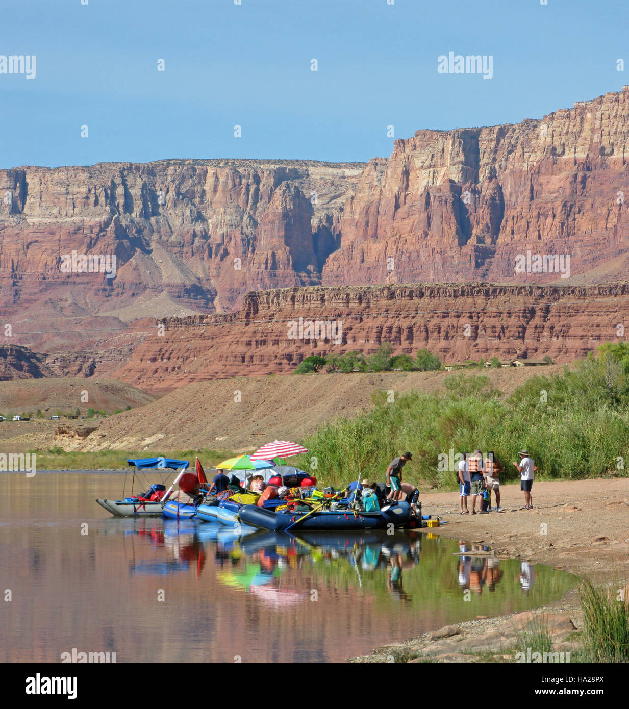 La rampa di lancio dei traghetti di Lees nel Parco Nazionale del Grand Canyon, un punto di accesso popolare per i diportisti e gli avventurieri che navigano sul fiume Colorado, offre vedute panoramiche e opportunità ricreative. Foto Stock