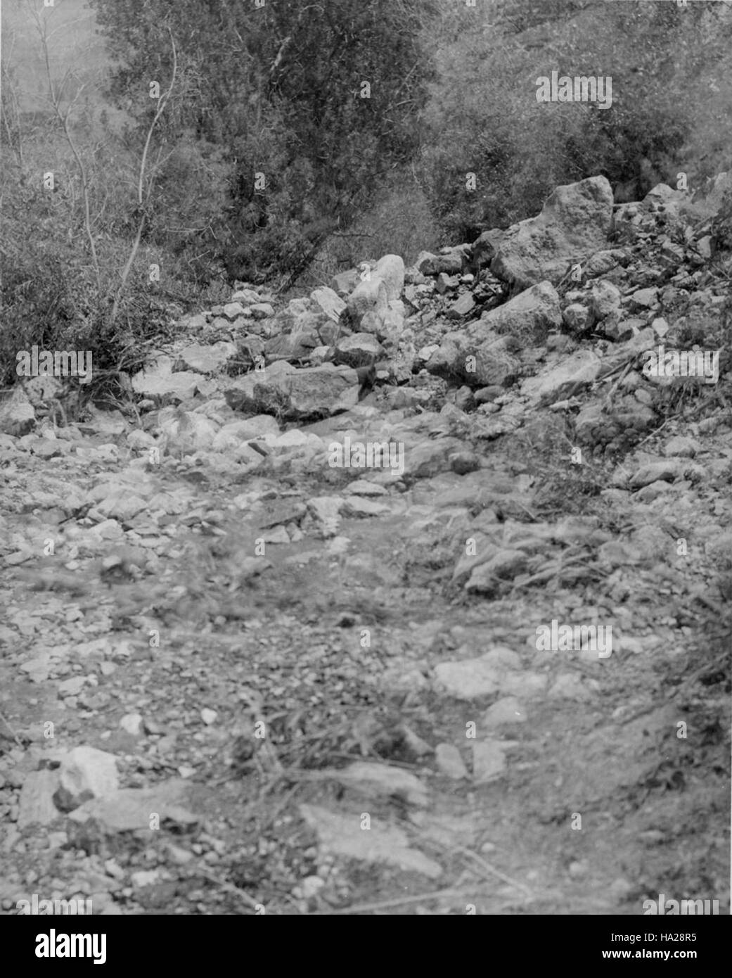 Lo storico Bright Angel Trail del Grand Canyon, situato all'interno del Parco Nazionale, ha assistito a molte sfide ambientali, tra cui le inondazioni. L'area dei giardini indiani è un importante sito per la conservazione e l'educazione dei visitatori. Foto Stock