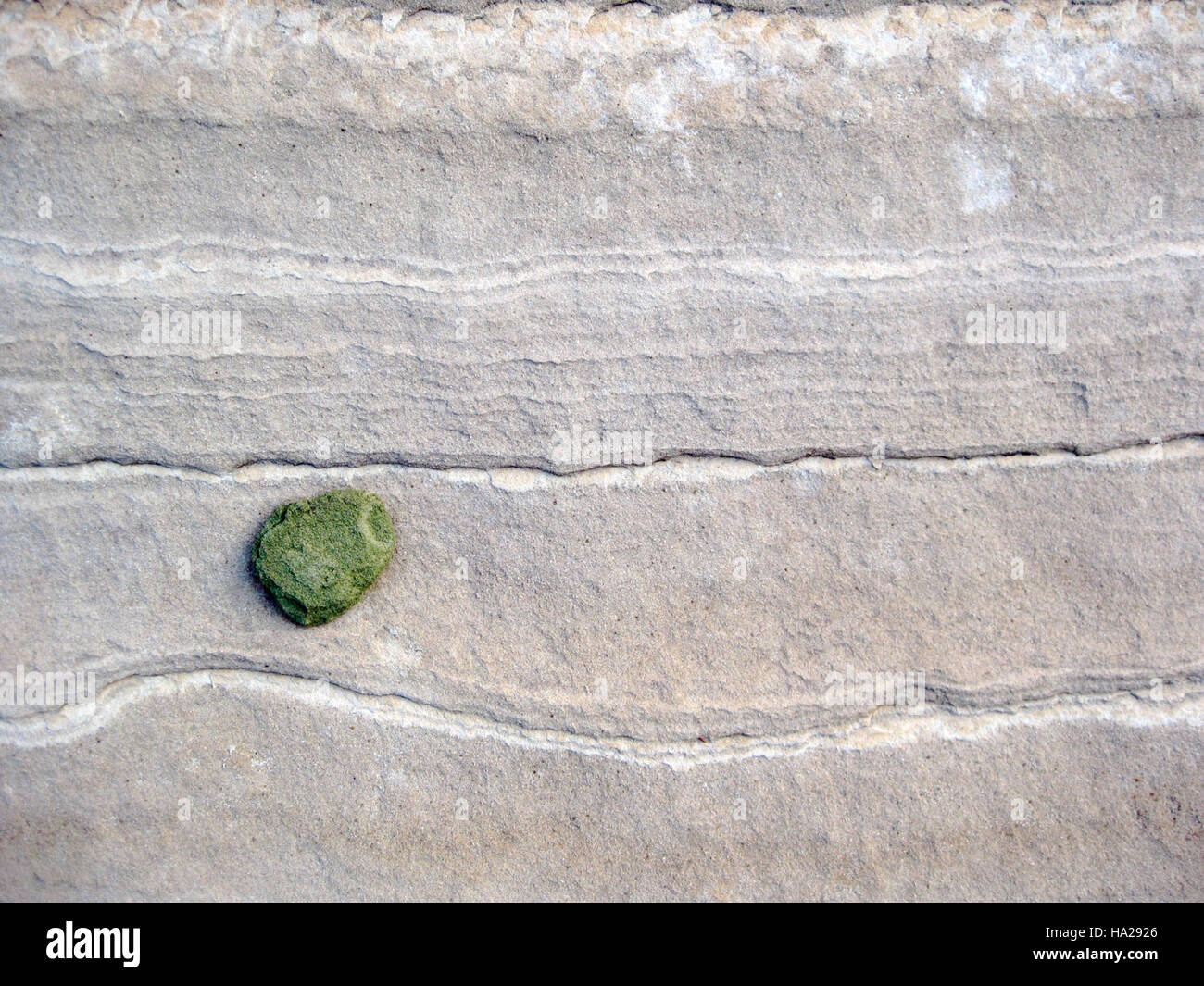 Slickrock nel parco nazionale di Zion, noto per le sue formazioni geologiche uniche e i sentieri impegnativi. Il parco offre vedute mozzafiato ed è una destinazione popolare per gli escursionisti e gli scalatori. Foto Stock