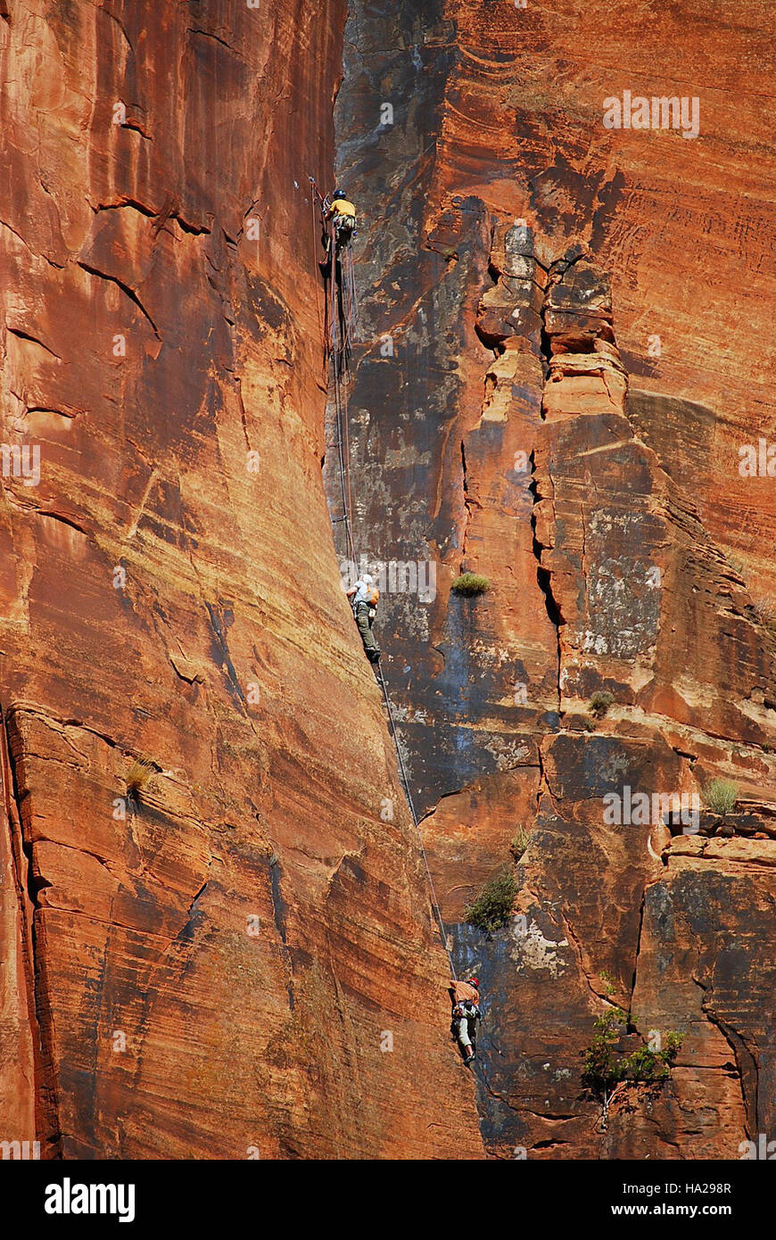 Gli arrampicatori apprezzeranno le aspre scogliere e i paesaggi mozzafiato del Parco nazionale di Zion, partecipando a una popolare attività all'aperto che mostra sia le caratteristiche geologiche del parco che il suo ruolo nel turismo d'avventura. Foto Stock