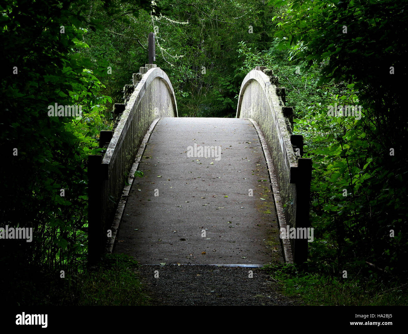 Il *Ozette Bridge Trail* nel Parco Nazionale Olimpico offre agli escursionisti un percorso panoramico attraverso il paesaggio unico del parco. Il sentiero è famoso per il suo significato culturale, offrendo una finestra sul patrimonio naturale e indigeno della regione. Foto Stock