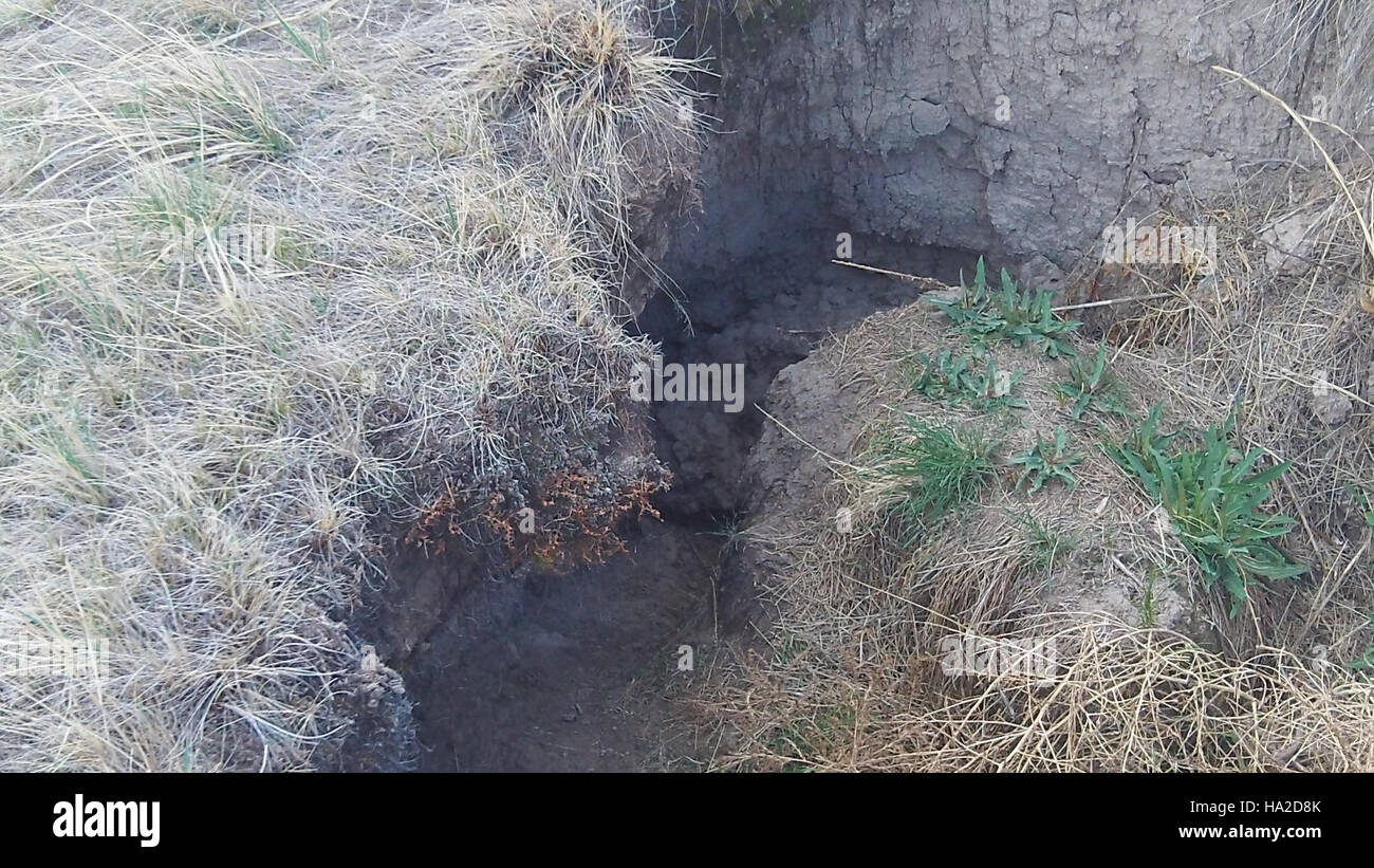 Un gruppo di individui catturati nel Badlands National Park, che mostra il paesaggio mozzafiato del parco e il legame umano con la natura in un ambiente protetto. Foto Stock