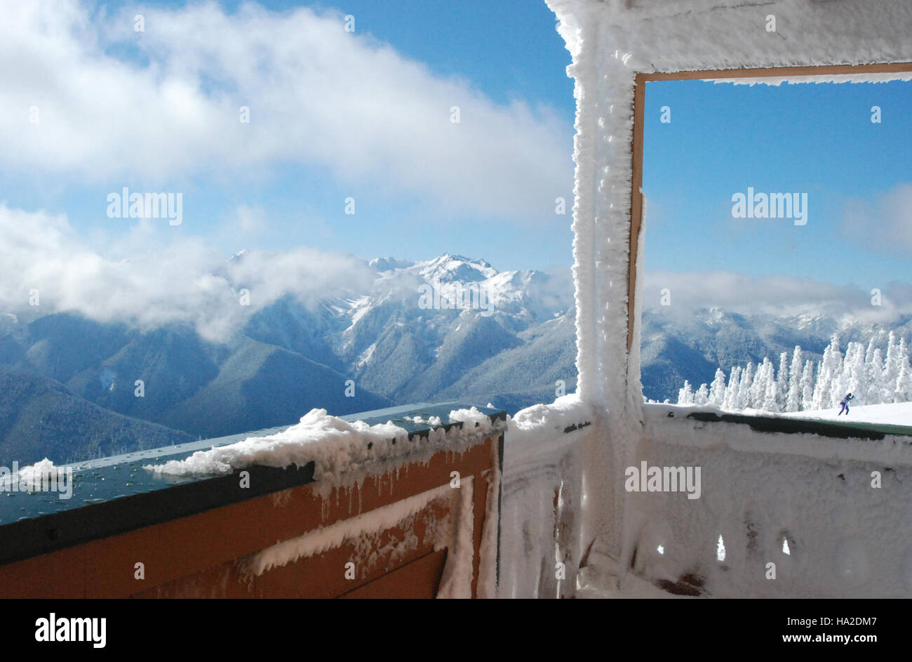 Hurricane Ridge nell'Olympic National Park è noto per i suoi drammatici modelli meteorologici, tra cui la formazione di ghiaccio e neve pesante. Il crinale offre viste mozzafiato ed è una destinazione popolare per le attività sulla neve e l'osservazione scientifica. Foto Stock