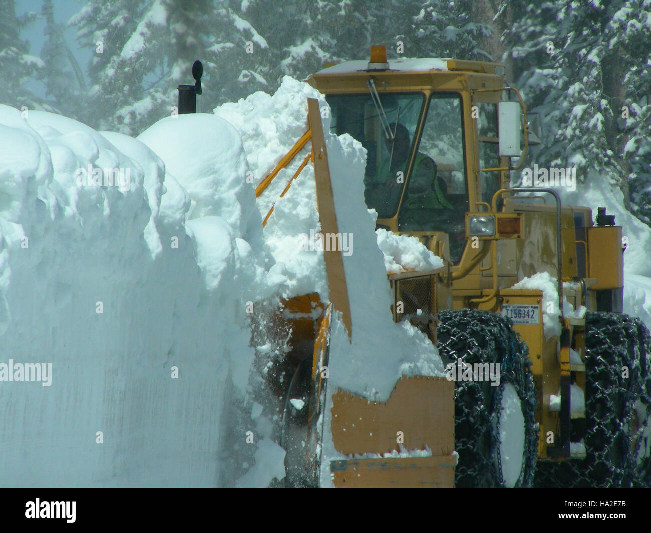 Al Lewis Lake Campground, i visitatori possono provare l'emozione delle attività sulla neve in un paese delle meraviglie invernali. Questa posizione è famosa per gli sport invernali, come le escursioni in motoslitta e lo sci, e offre un ambiente incontaminato per gli appassionati delle attività all'aria aperta. Il campeggio è immerso in uno splendido paesaggio montano, offrendo ai visitatori ampie opportunità di svago e di esplorazione della natura nella stagione innevata. Foto Stock