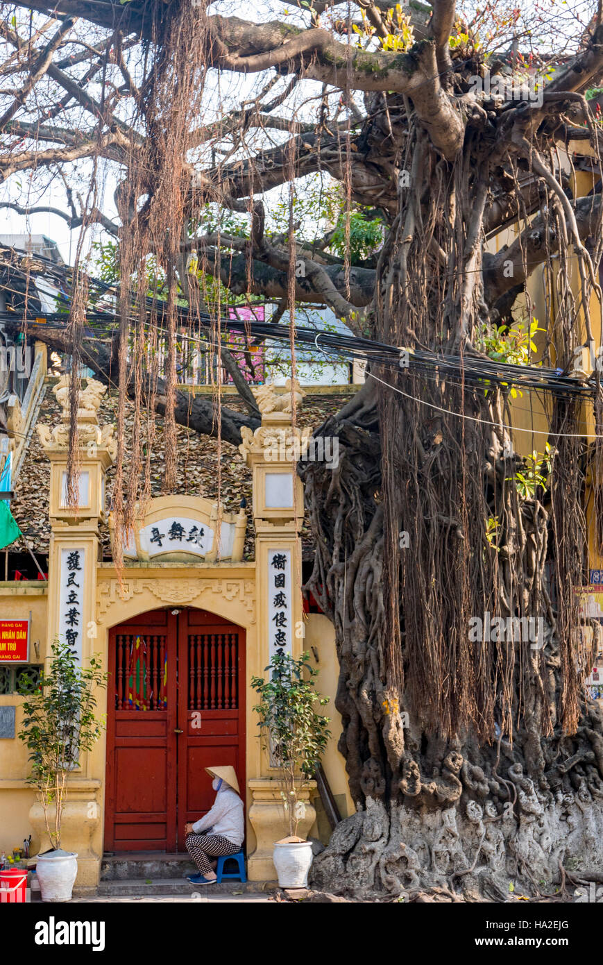Il vecchio quartiere di Hanoi, Vietnam Asia Foto Stock
