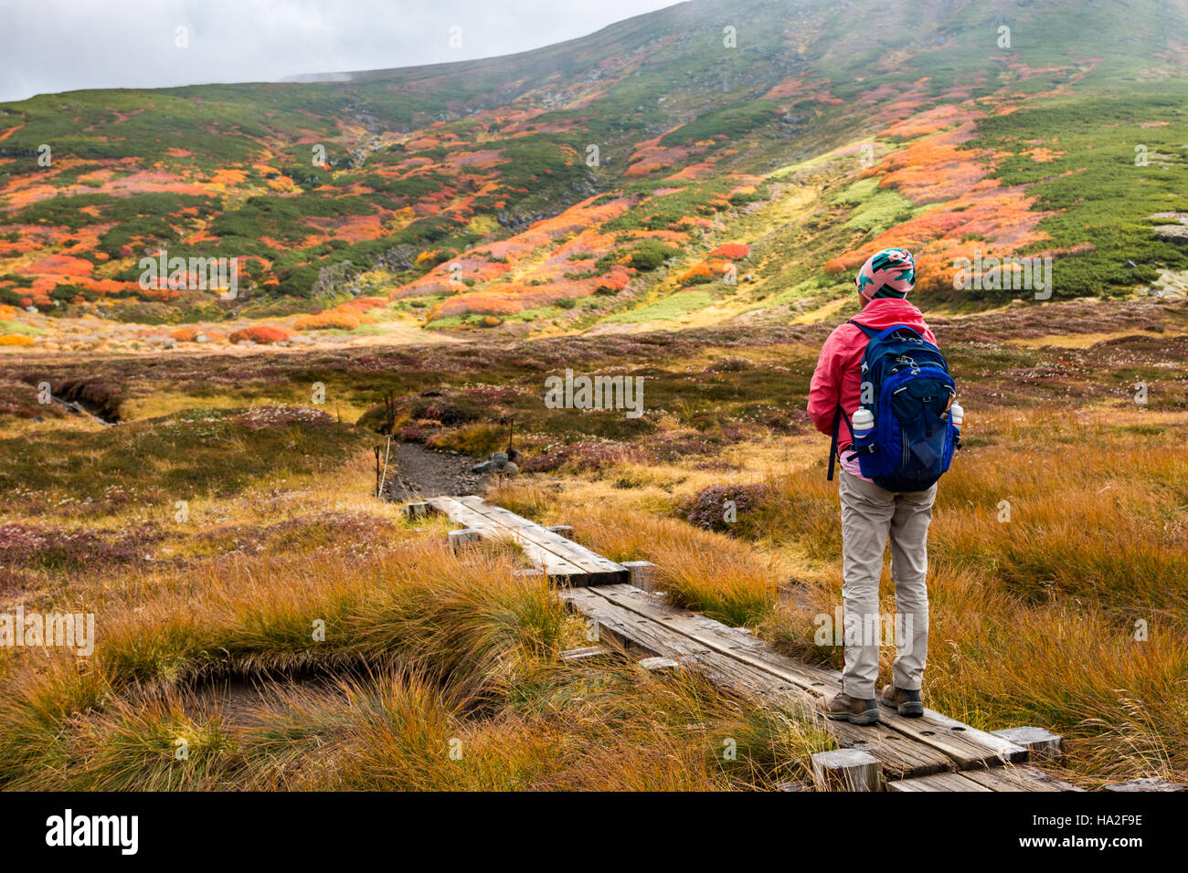 Woman Hiking tenendo in vista sul sentiero escursionistico in Daisetsuzan National Park, Hokkaido, Giappone. Foto Stock