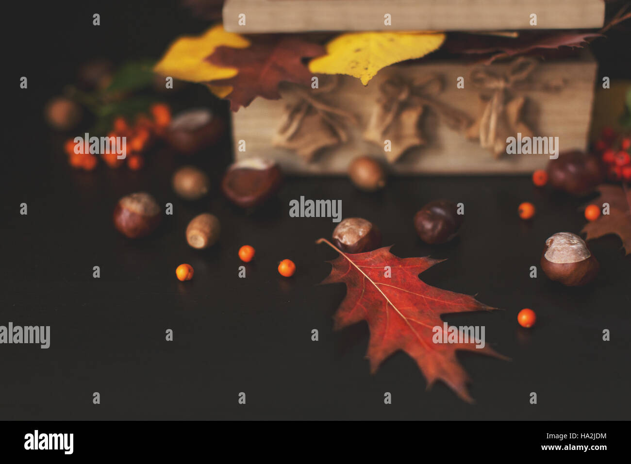 Foglie di autunno, conkers, dadi e bacche di sorbo montano in una scatola di legno Foto Stock