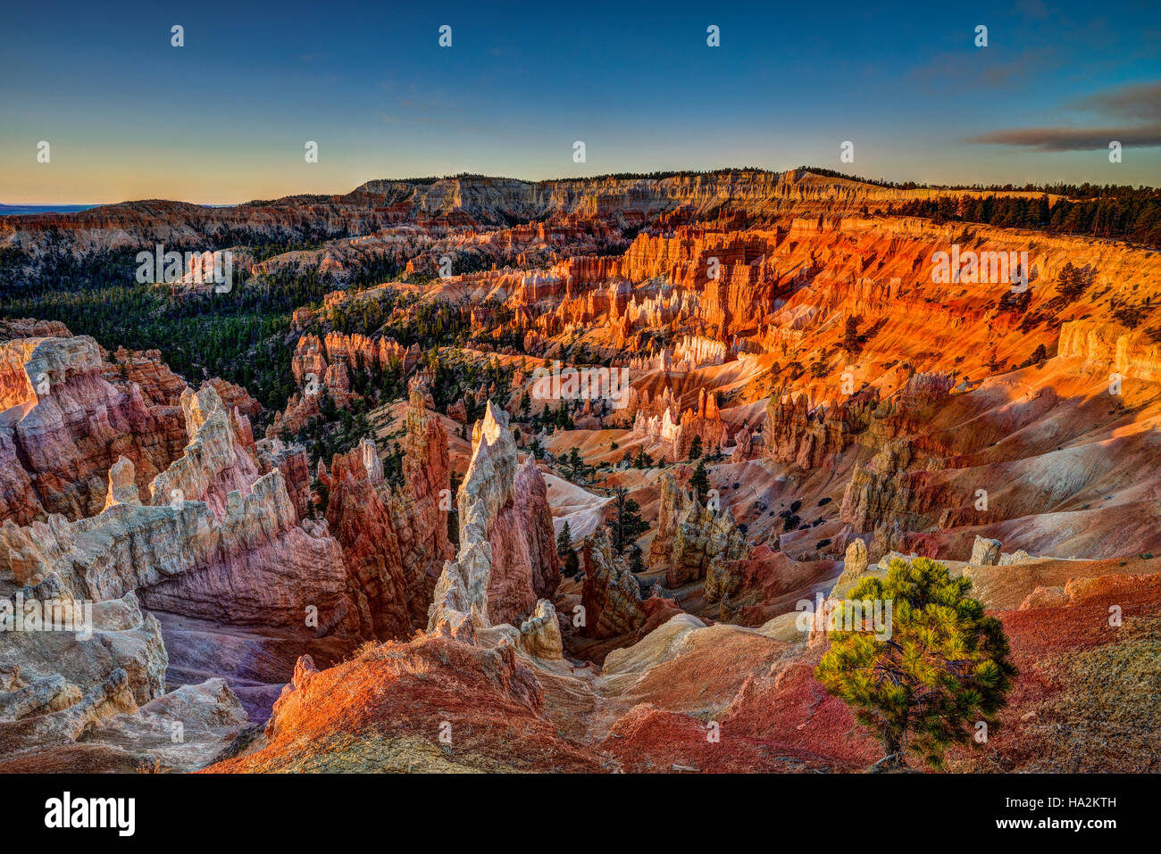 Canyon di Bryce Foto Stock