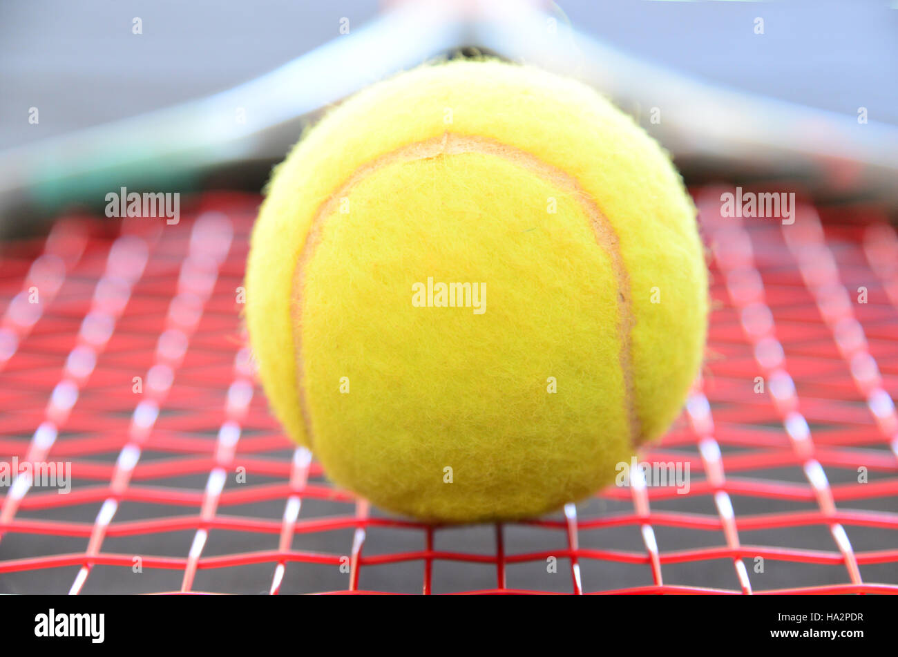 Close-up di una palla da tennis su una racchetta da tennis Foto Stock