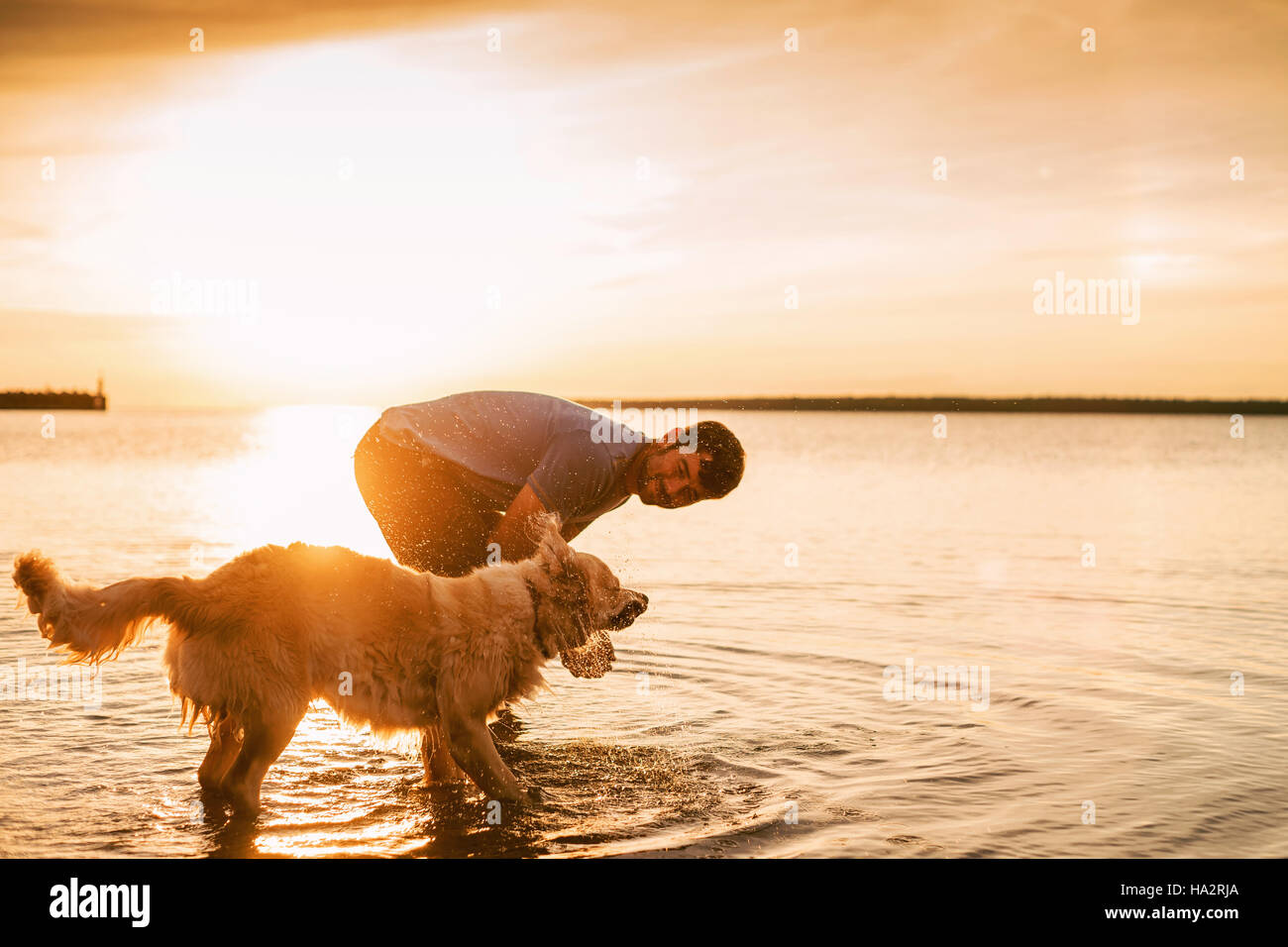 L'uomo gioca con il suo golden retriever cane nel lago al tramonto Foto Stock