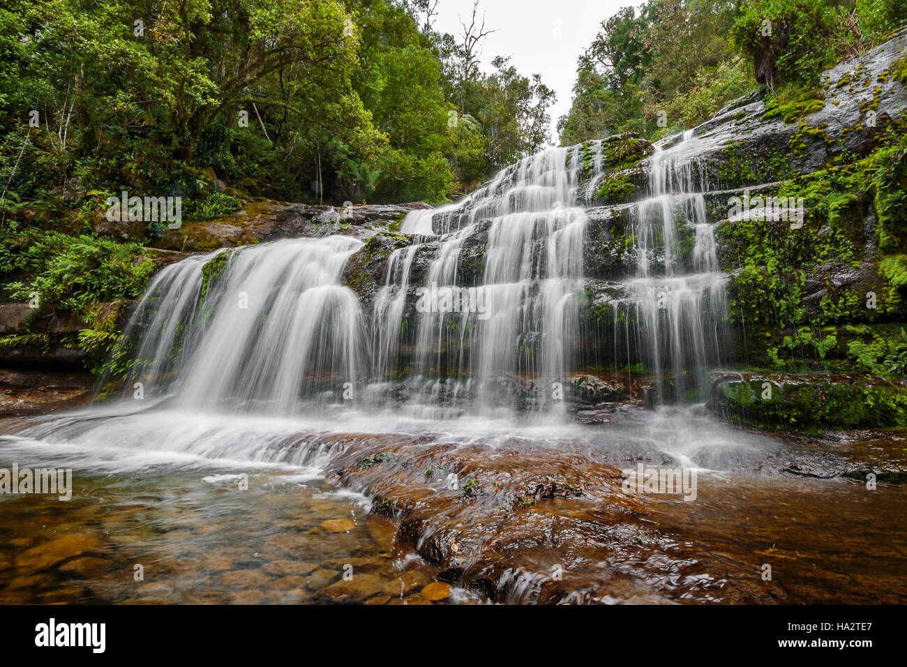 Liffey Falls, Great Western Tires, Midlands, Tasmania, Australia Foto Stock