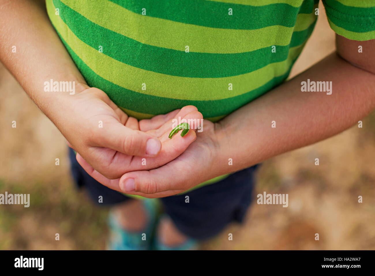 Ragazzo tenendo un caterpillar Foto Stock