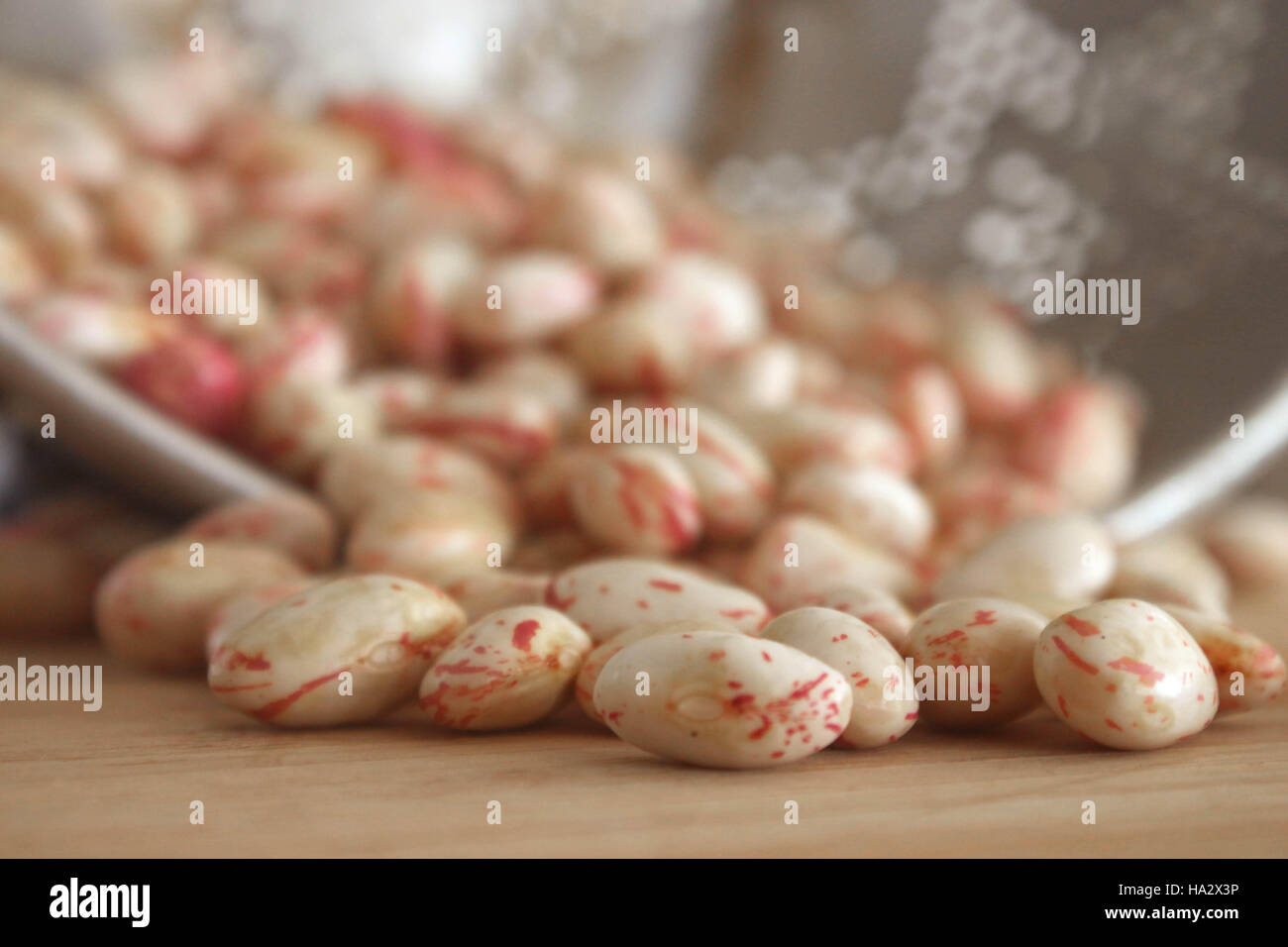 Close-up di fagioli borlotti in uno scolapasta Foto Stock