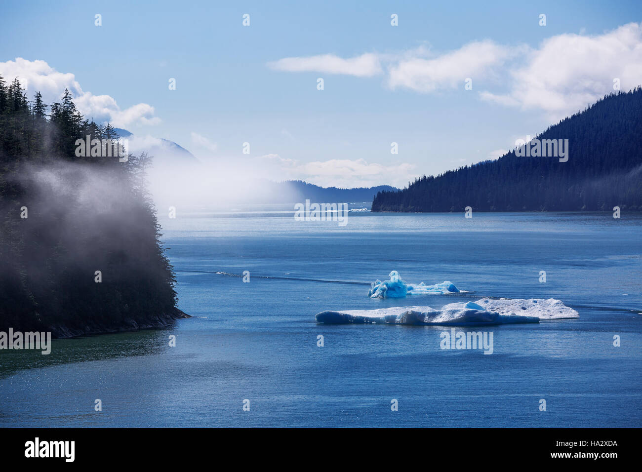 Tracy Arm Fjord, Juneau, Alaska, Stati Uniti Foto Stock
