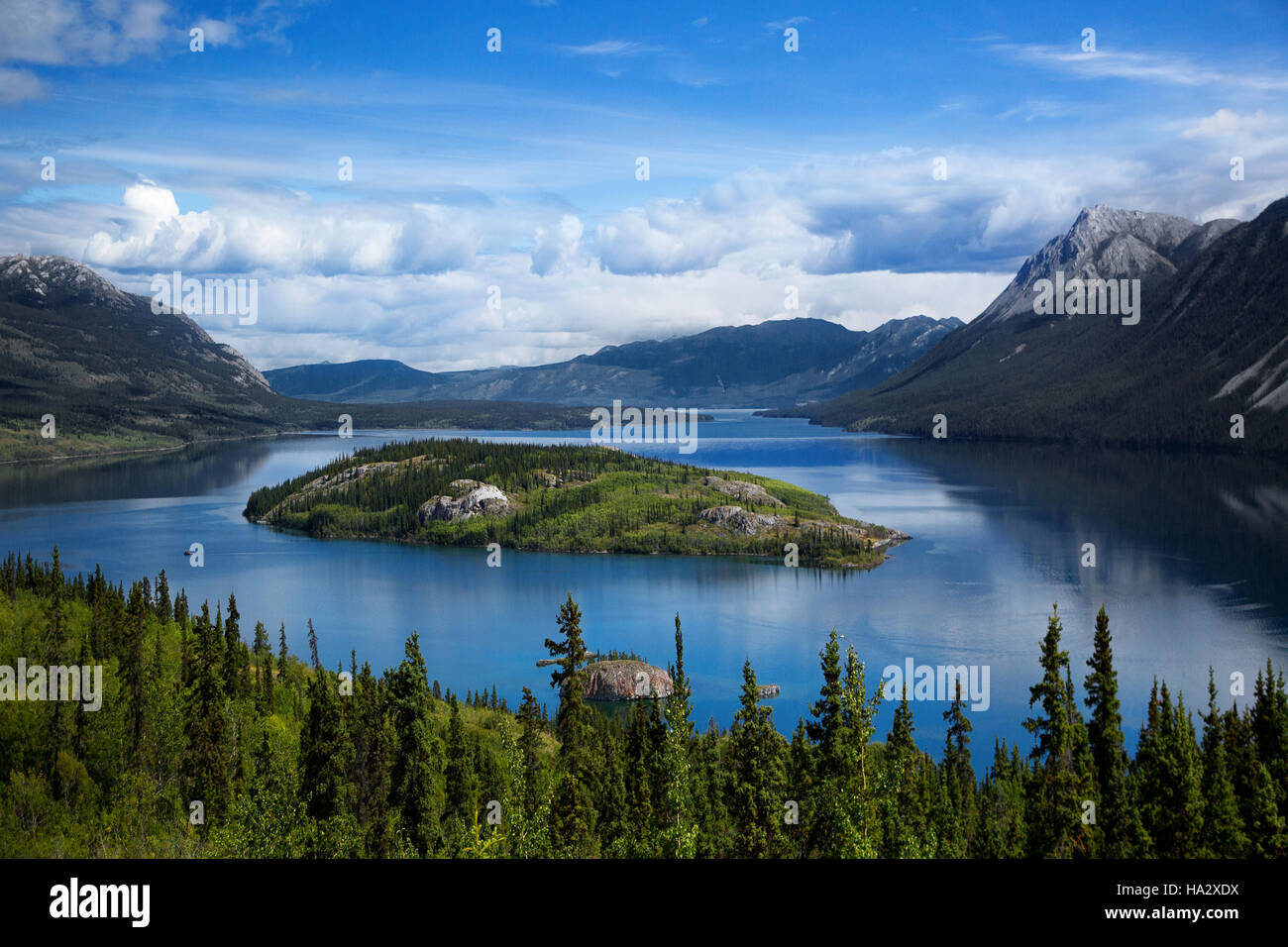 Bove Isola, Tagish Lake, Yukon, Northern British Columbia, Canada Foto Stock