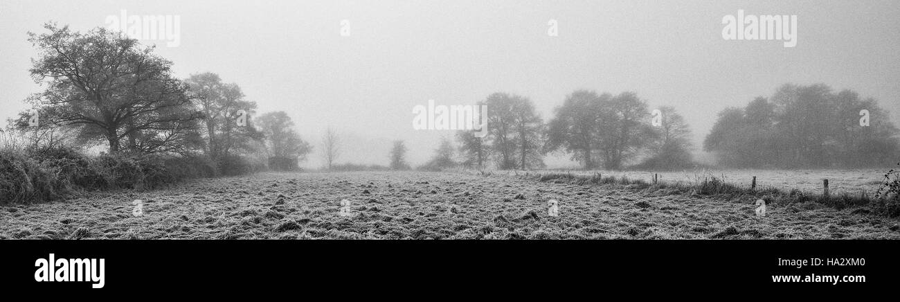 Frosty campo con alberi oltre il visibile attraverso la nebbia Foto Stock