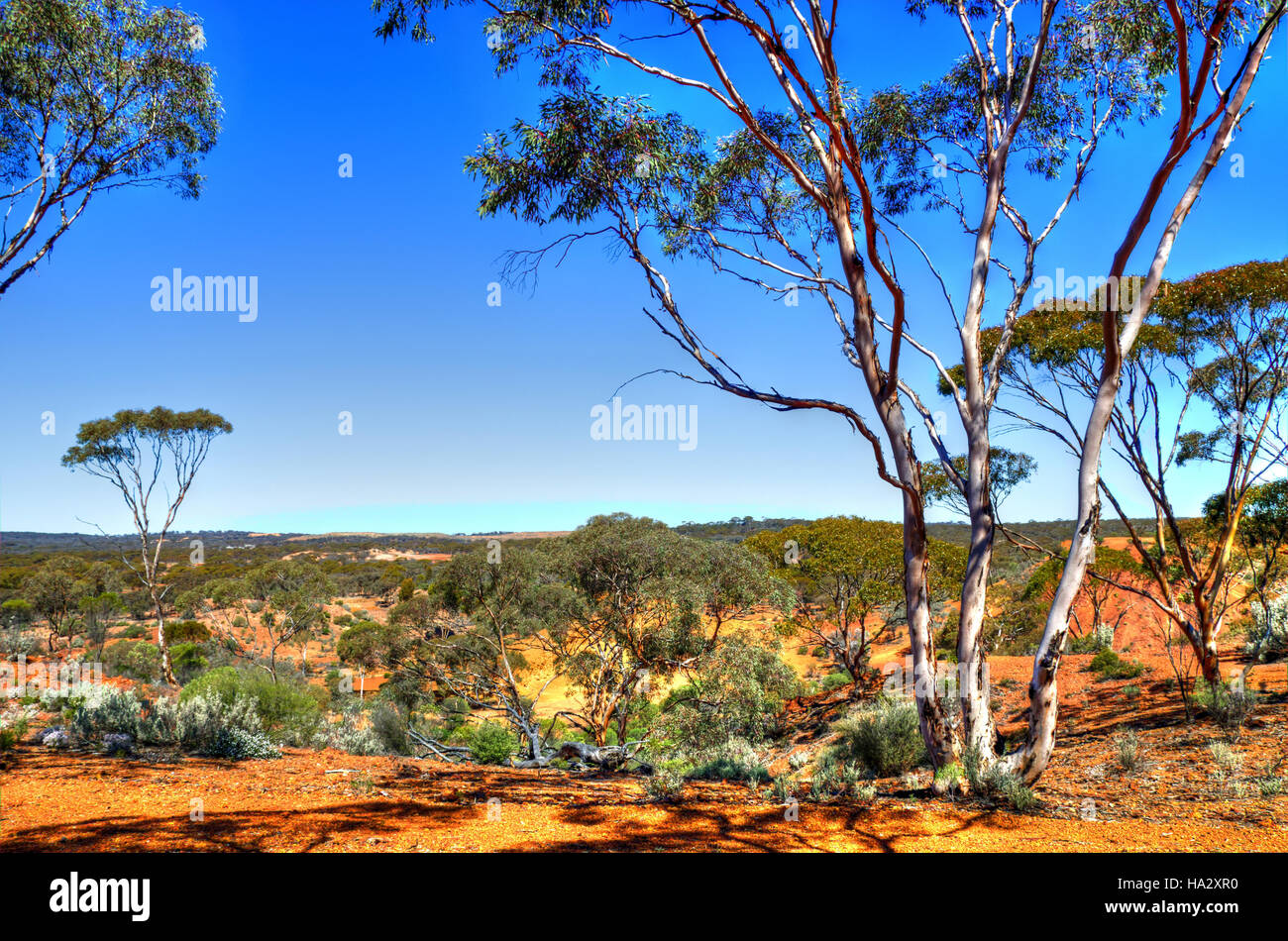 Paesaggio rurale, Australia occidentale, Australia Foto Stock