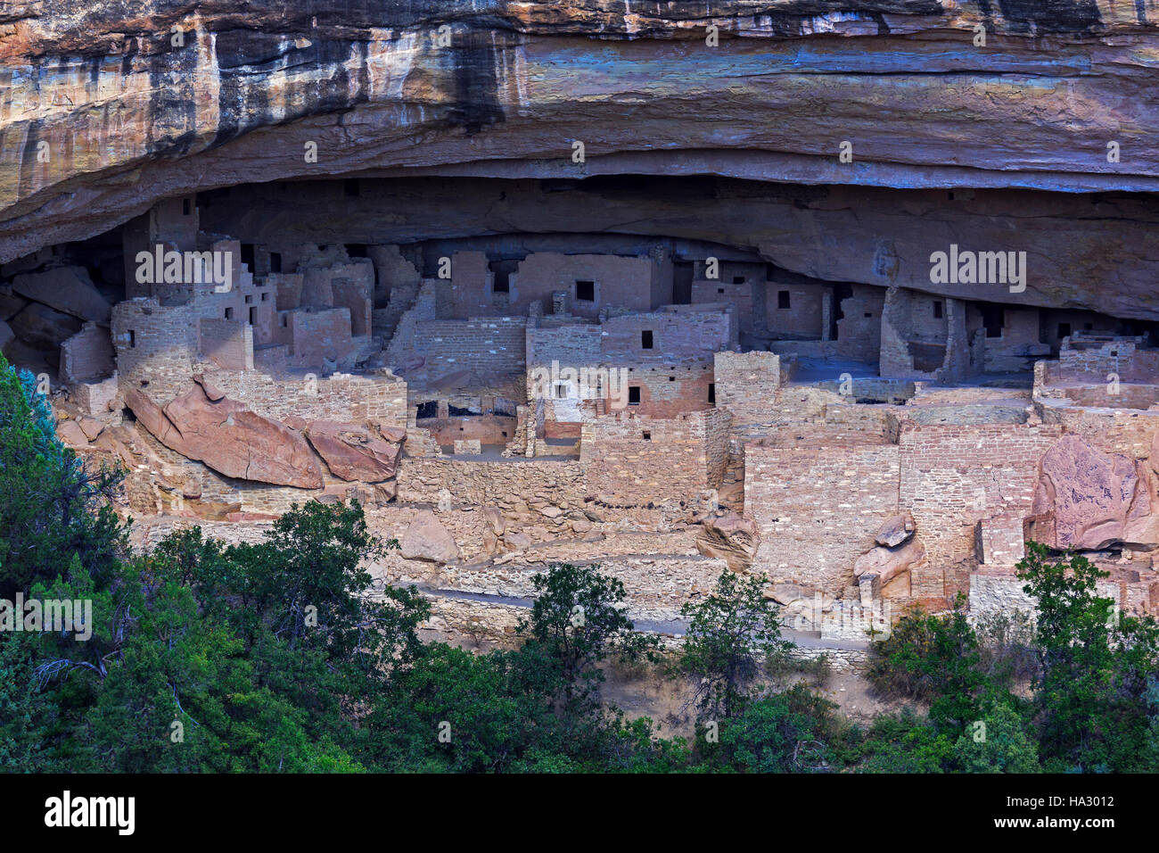 Questa è una vista del Cliff Palace, il più grande scogliera abitazione a Mesa Verde National Park, COLORADO, Stati Uniti d'America. Foto Stock