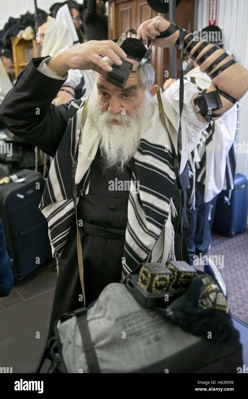 Un vecchio uomo ebraico con la barba mettendo sul tefillin in una sinagoga a Montefiore cimitero di Cambria Heights, Queens, a New York. Foto Stock