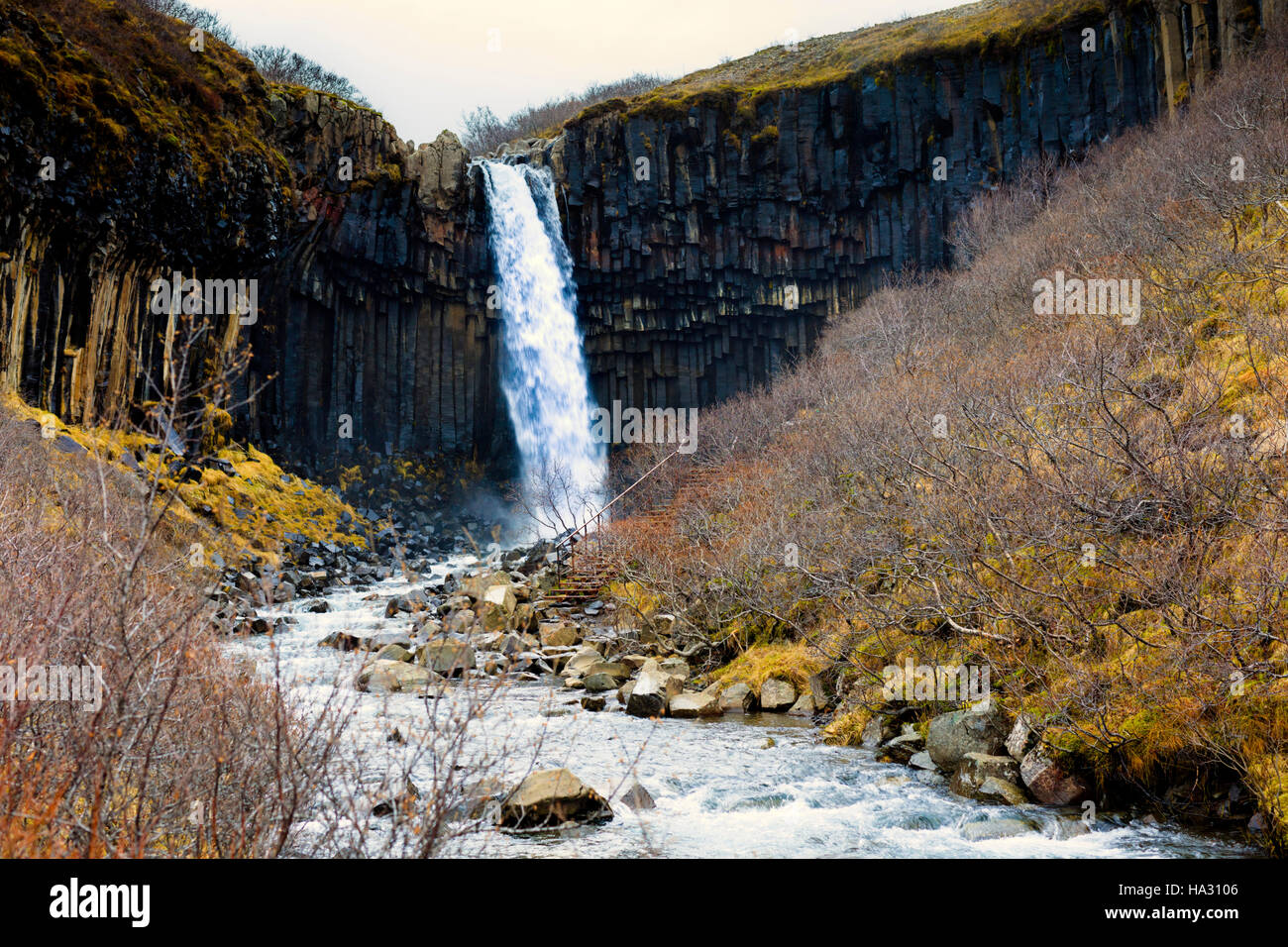 Svartifoss (nero cade) cascata in Skaftafell in Vatnajokull parco nazionale in Islanda, Foto Stock