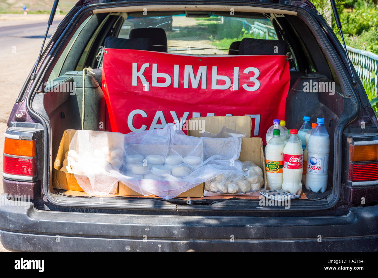 ALMATY, KAZAKHSTAN - 10 Luglio: Formaggio e kumis, il kazako popolare bevanda fatta della fermentazione del latte di cavallo dalla vettura in strada. Luglio 2016 Foto Stock