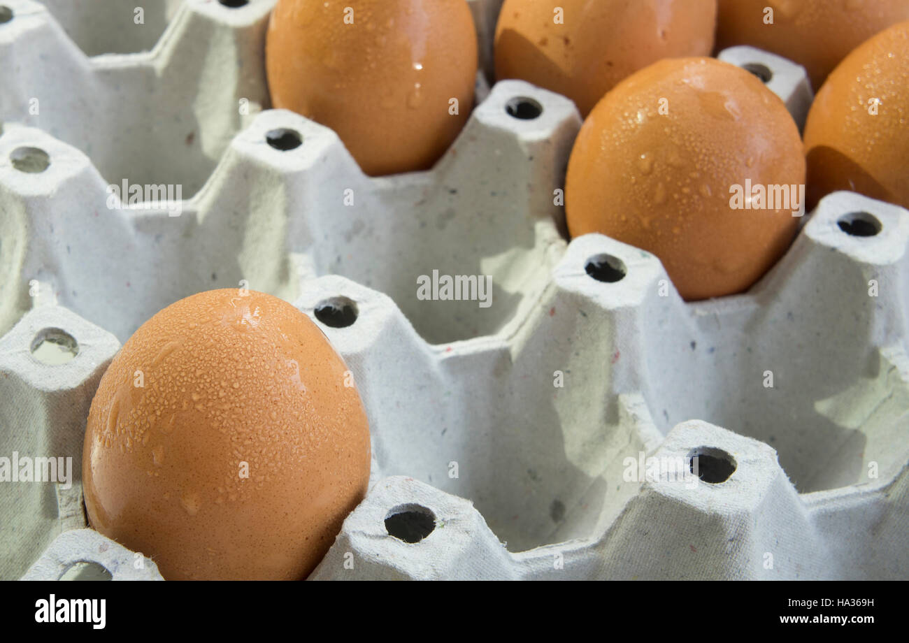 Dozzina di uova sul vassoio della carta Foto Stock