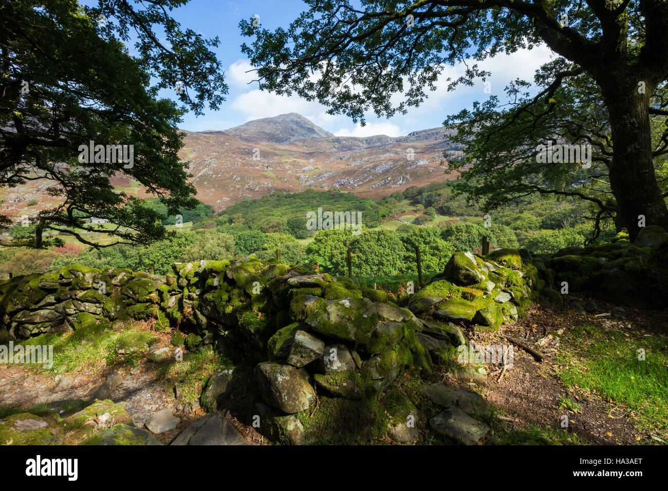 Cwm Bychan Il Rhinogs Snowdonia Wales UK Foto Stock
