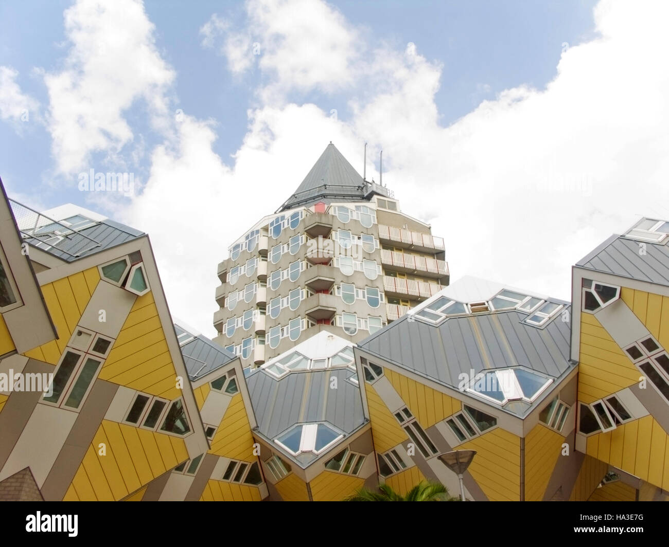 Case Cubiche, dall'architetto Piet Blom, Rotterdam, Paesi Bassi, Europa Foto Stock