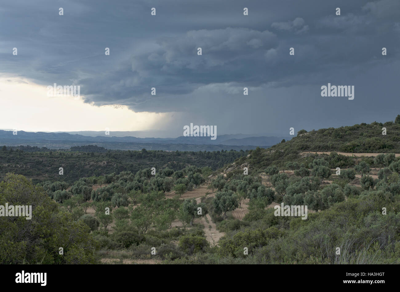 Nuvole temporalesche raccolta, provincia di Zaragoza, Spagna Foto Stock