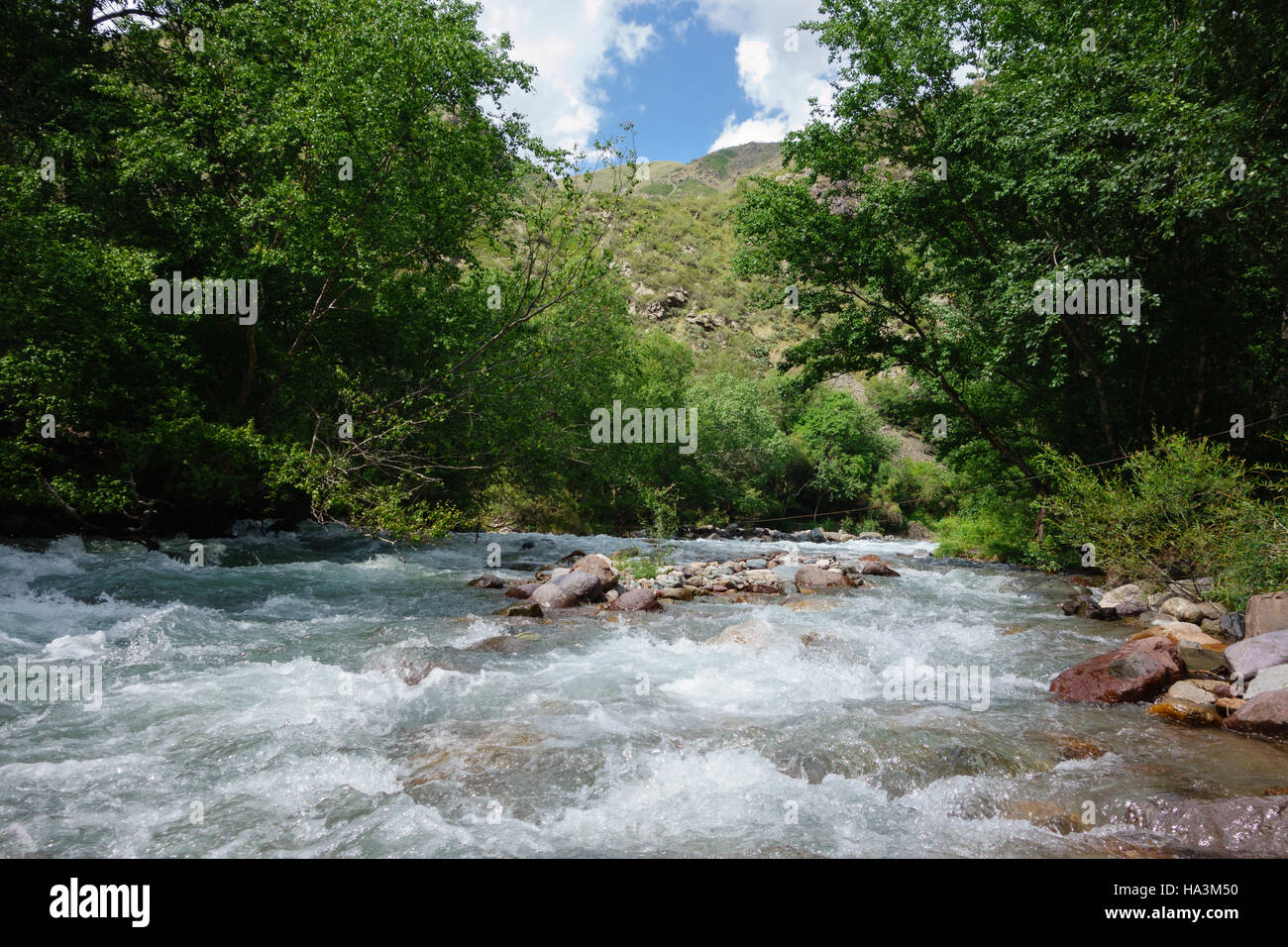 Fiume di montagna nella gola Turgen vicino a Almaty, Kazakhstan Foto Stock