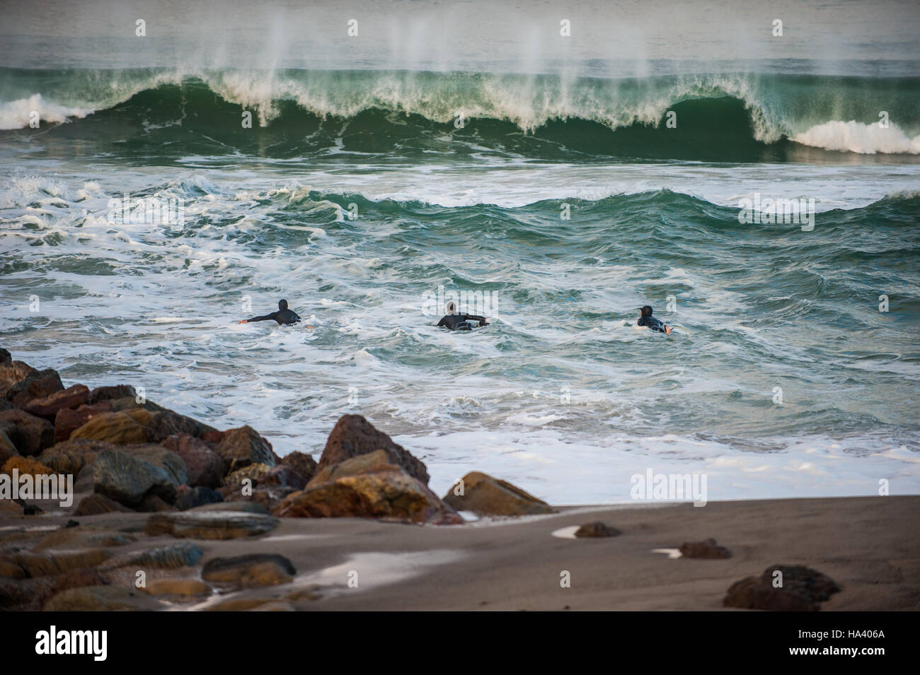 Gli amici di surf paddling in grandi e soffiata dal vento onde. Foto Stock