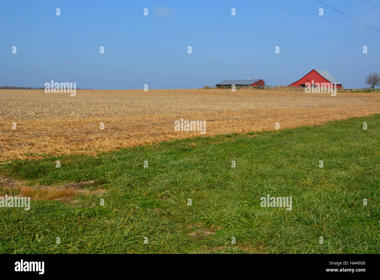 Campi di fattoria nel midwestern Stati sono raccolte in anticipo di inverno. Foto Stock