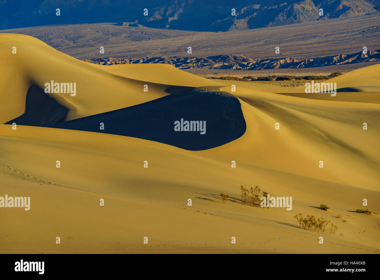 La bellissima Mesquite Dune piatto a tubo da stufa di pozzi, Parco Nazionale della Valle della Morte Foto Stock