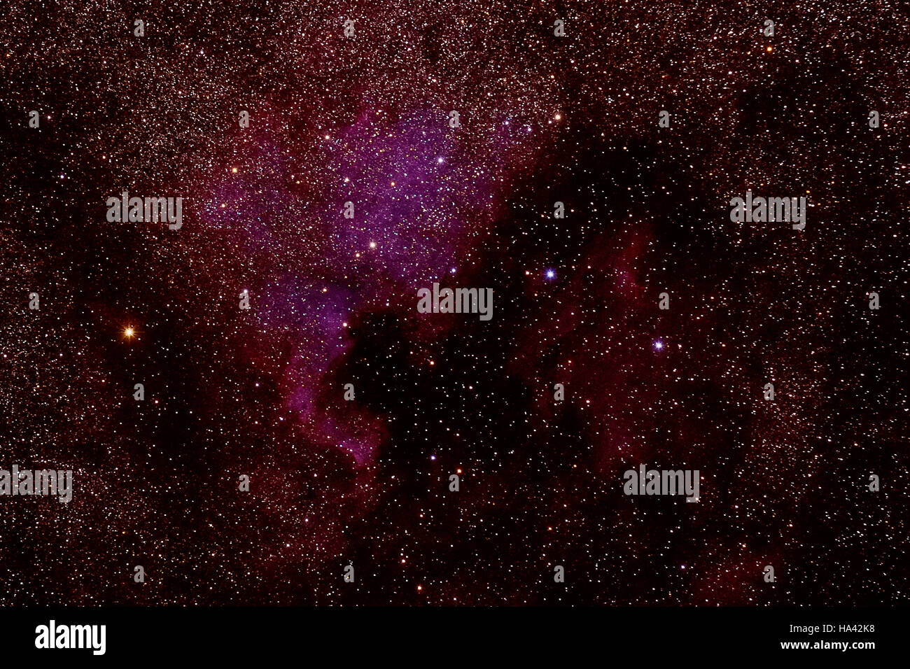 La meravigliosa North American Nebula Lanoue (NGC 7000) visto al parco nazionale della Valle della Morte Foto Stock