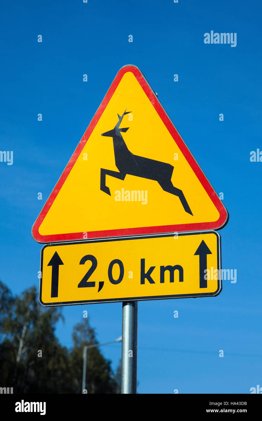 Deer avanti cartello stradale Foto Stock