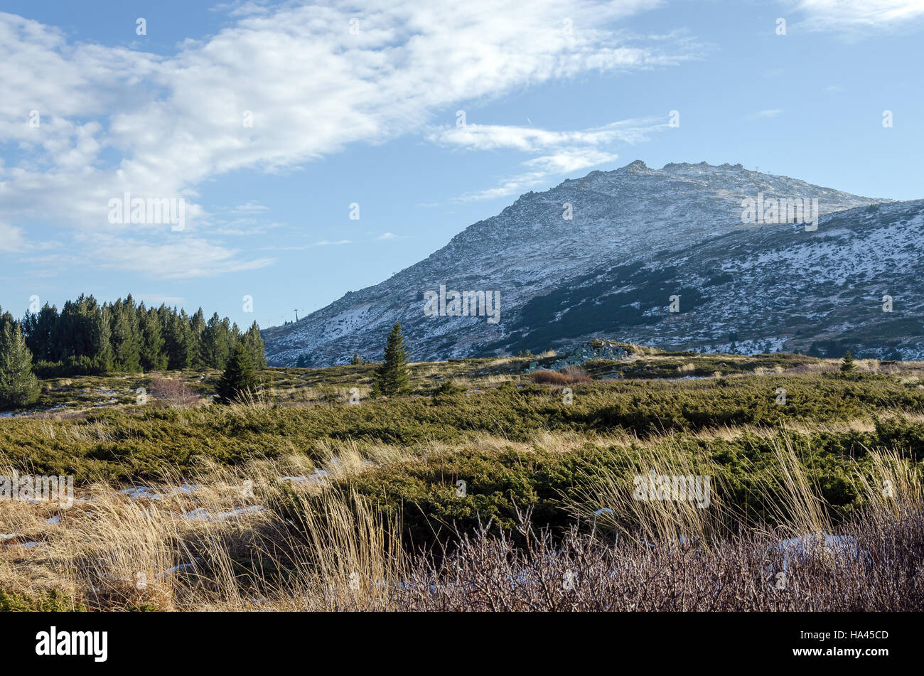 Giorno scenario del Monte Vitosha, Bulgaria Foto Stock