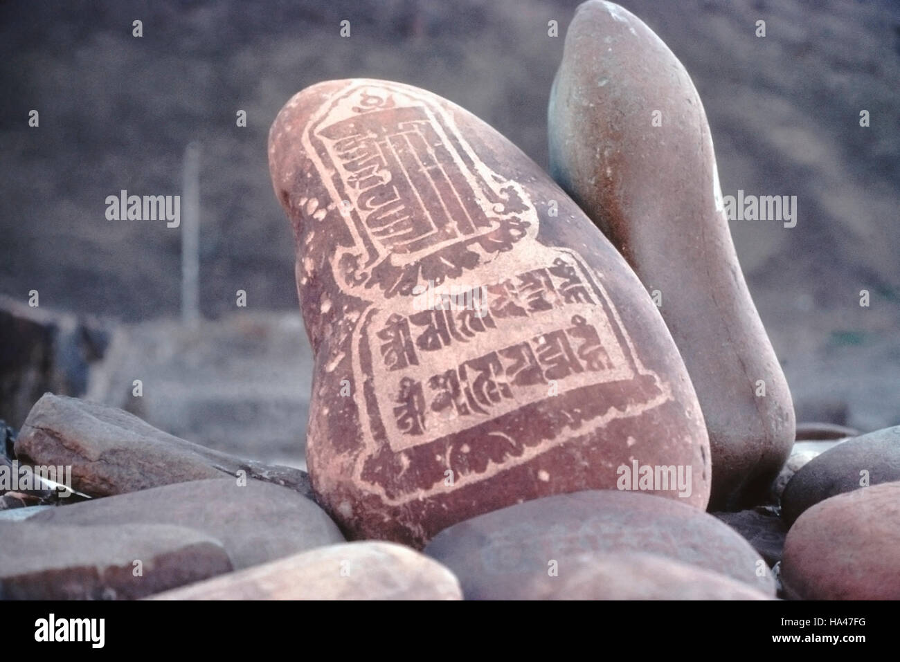 Khalasi Mani da parete. Tavolette di pietra incisa con mantra. Ladakh, India. Foto Stock