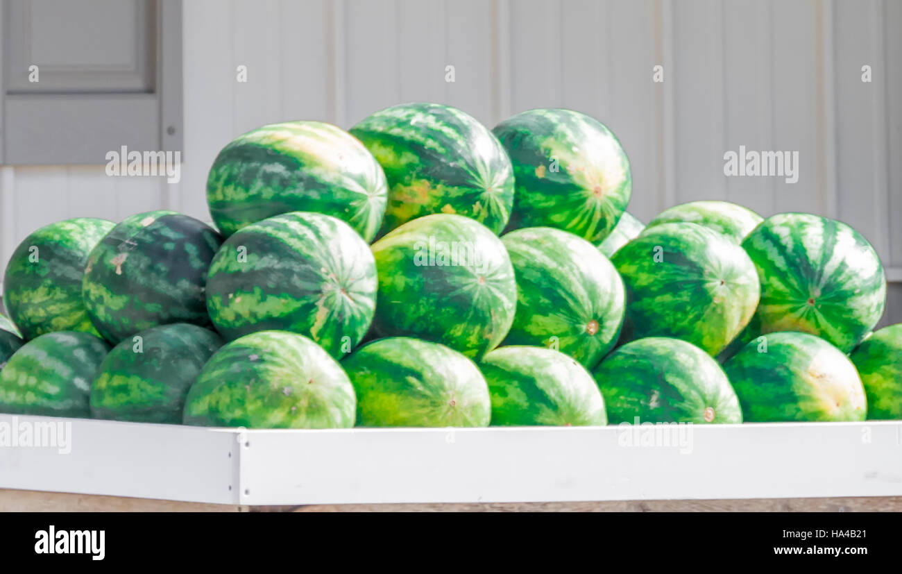 Gruppo di cocomeri impilati in una fattoria di stand di Long Island NY Foto Stock