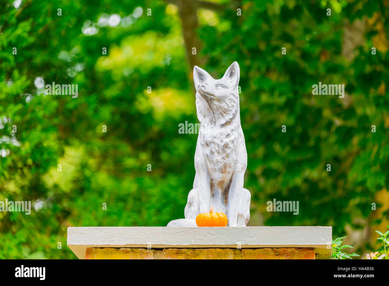 Cane di cemento con la zucca Foto Stock