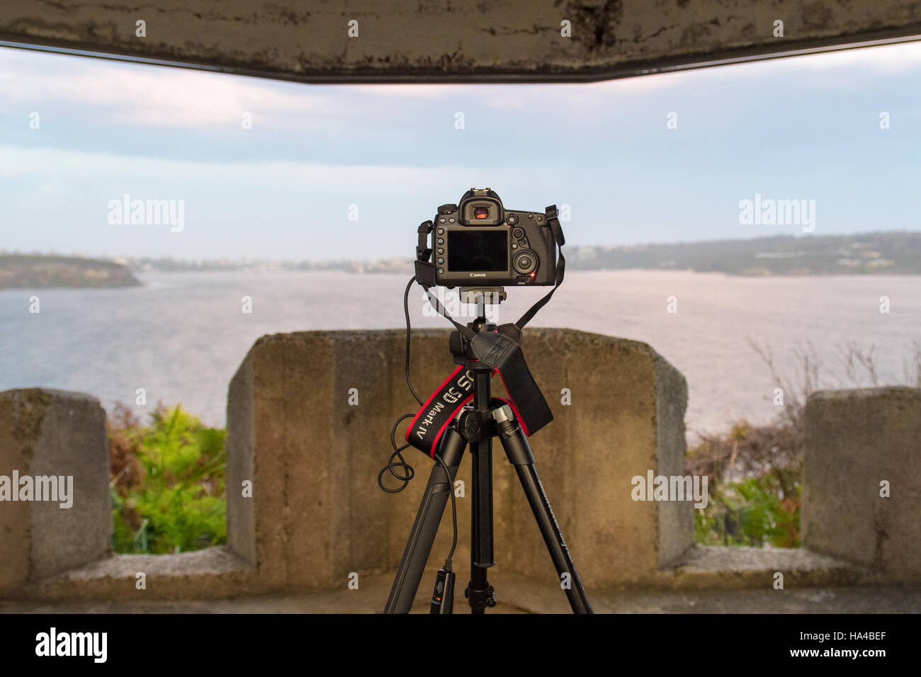 Canon EOS 5D Mark IV fotocamera reflex digitale Foto Stock