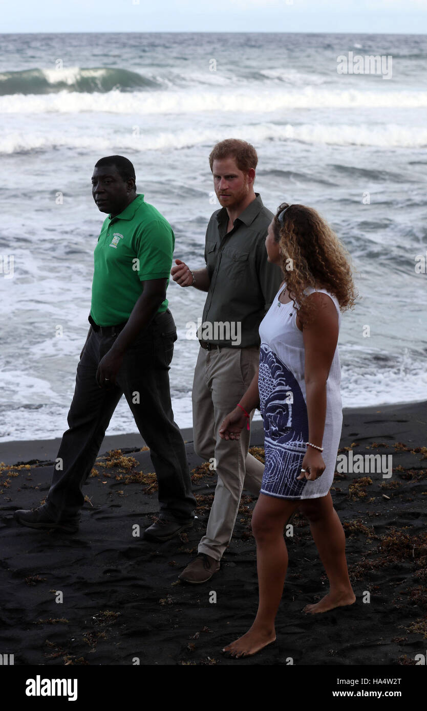 Il principe Harry con Roseman Adams che è una protezione leader dei mitici animali marini che vengono a riva per deporre le uova a una tartaruga progetto di conservazione a Colonarie Beach, Saint Vincent e Grenadine, durante la seconda tappa del suo tour dei Caraibi. Foto Stock