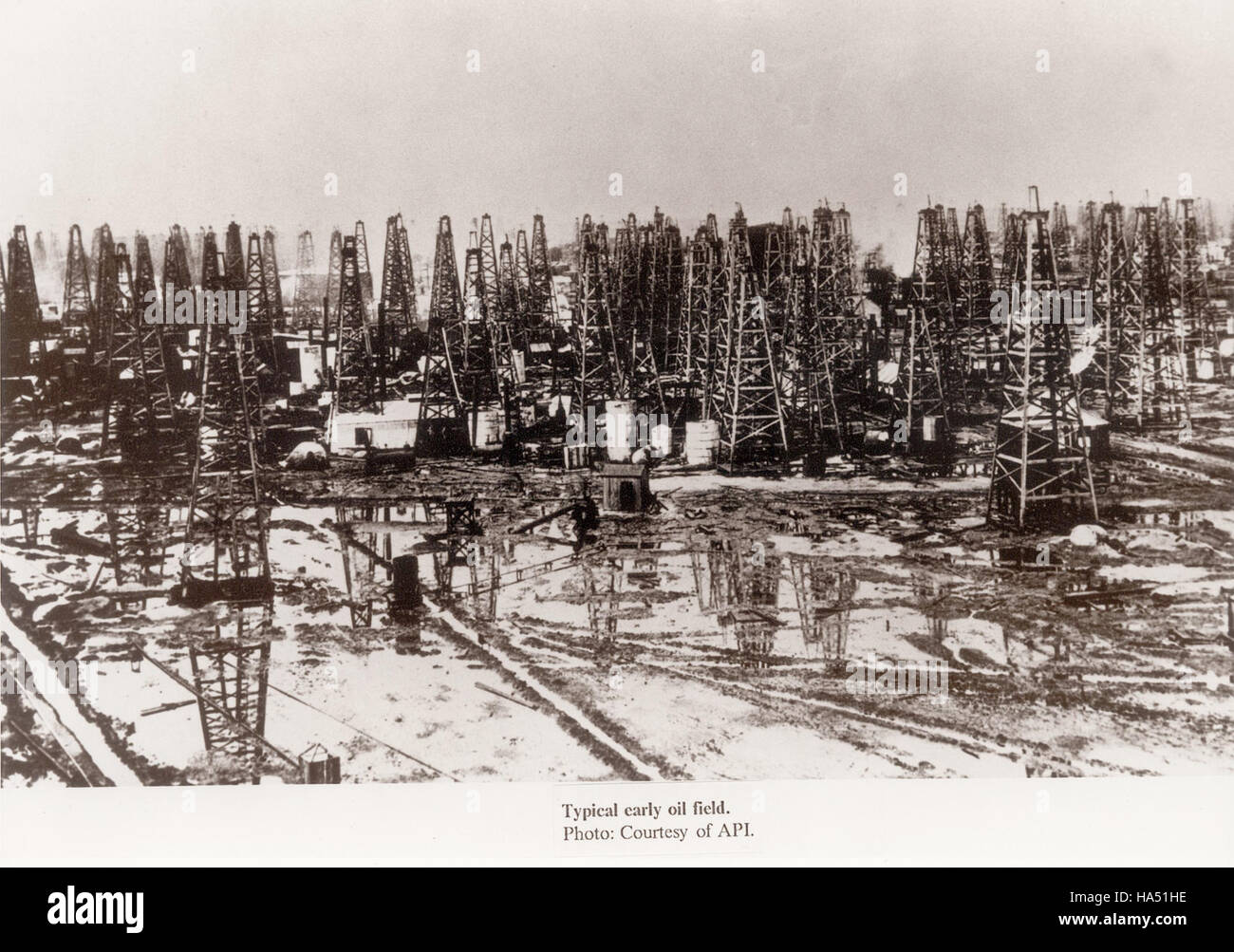 Questa immagine riflette il rapporto dinamico tra natura, scienza e politica, in particolare nel contesto delle politiche energetiche e del cambiamento climatico. Illustra in che modo i progressi scientifici modellano le decisioni politiche e influenzano le politiche ambientali che mirano ad affrontare le sfide globali. Foto Stock