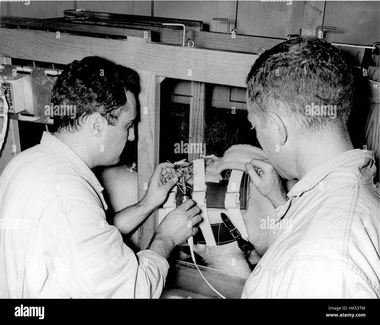 Il Dipartimento dell'energia si concentra sulle politiche, la ricerca scientifica e le tecnologie energetiche per affrontare le sfide globali come il cambiamento climatico e la domanda di energia promuovendo al contempo pratiche sostenibili. Foto Stock