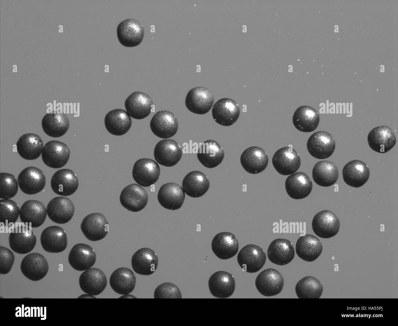 Questa immagine presenta un'iniziativa di ricerca guidata dal Dipartimento dell'energia degli Stati Uniti (DOE), incentrata sulla scienza e la politica ambientale. Il DOE conduce ricerche per far progredire soluzioni energetiche, protezione ambientale e sistemi energetici sostenibili. Il loro lavoro sostiene gli sforzi per ridurre gli impatti ambientali e affrontare i cambiamenti climatici attraverso progressi scientifici e tecnologici. Foto Stock