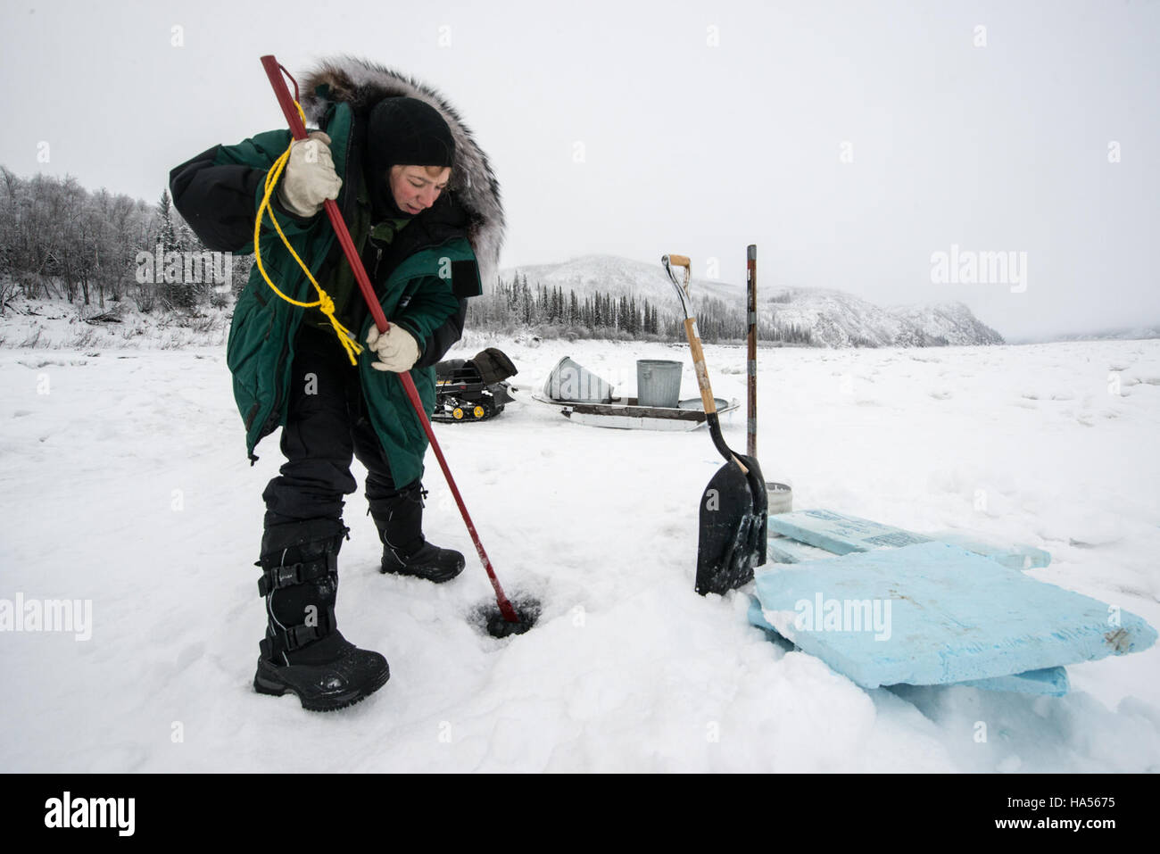 Lo Yukon quest del 2016 a Yukon-Charley è stato un evento iconico, che ha presentato la sfida invernale dei cani da slitta. L'evento ha coinvolto i ranger del parco e le comunità locali, mettendo in evidenza la resilienza della natura selvaggia dello Yukon e il ruolo della razza nella cultura della regione. Foto Stock