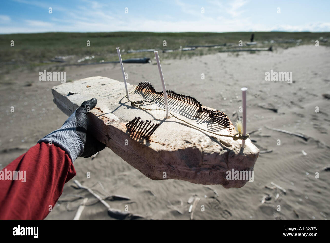 La pulizia dei detriti marini del 2015 in Alaska si è concentrata sulla rimozione dei rifiuti dalle aree costiere, proteggendo gli ecosistemi marini e la fauna selvatica locale dai danni ambientali. Foto Stock