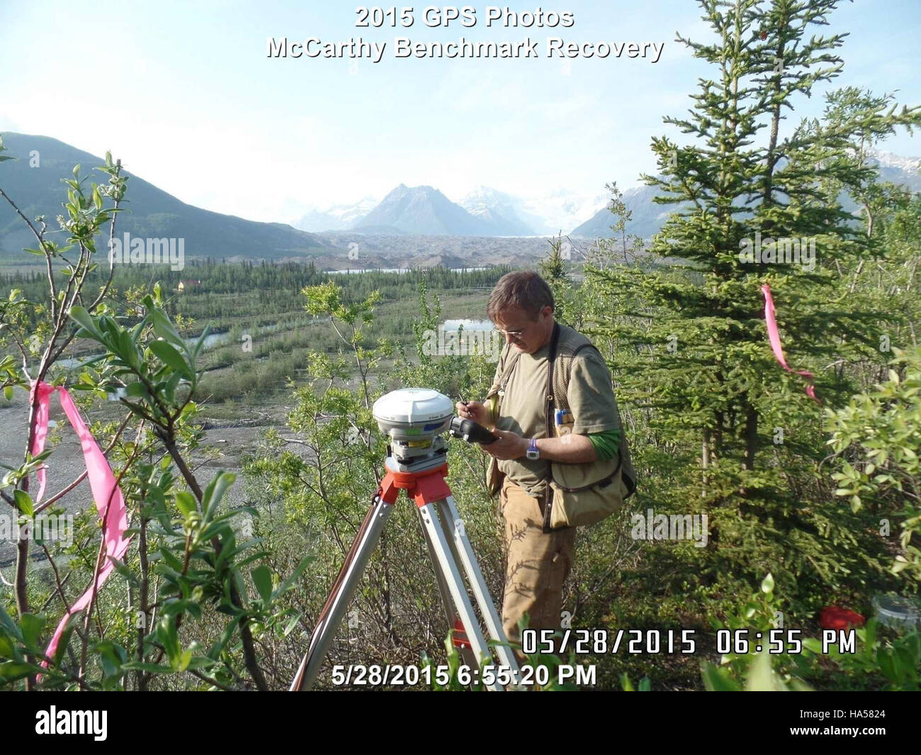L'Alaska National Park Service ha scattato una serie di foto con tag GPS nel 2015. Queste immagini facevano parte di un progetto volto a documentare i cambiamenti ambientali e i modelli di movimento della fauna selvatica nei parchi nazionali dell'Alaska. Il progetto contribuisce alla ricerca in corso sui cambiamenti climatici e sul monitoraggio degli ecosistemi nella regione. Foto Stock